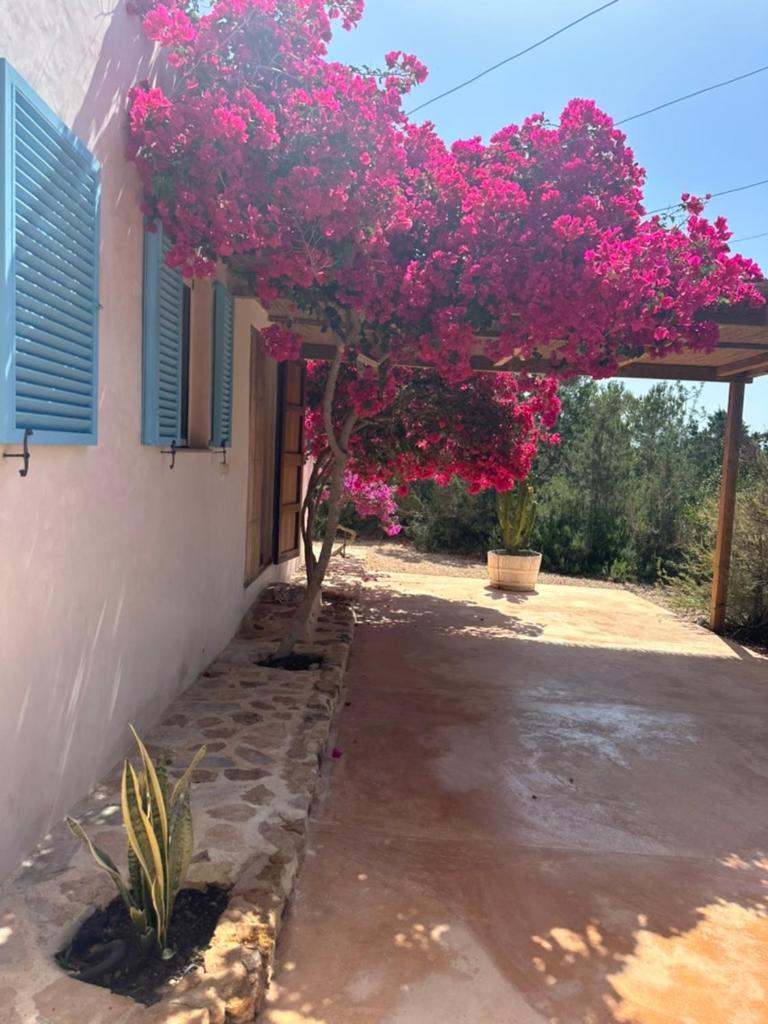 Casa Rustick Villa San Francisco Javier ภายนอก รูปภาพ